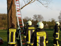 Hilfeleistungseinsatz 01.05.2016__4