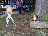 Waldfest 2017