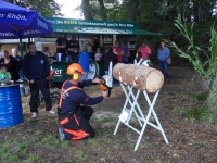 Waldfest 2017