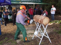 Waldfest 2017